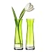 K&uuml;che & Haushalt : LEONARDO 086493 - Set/2 Vasen Rio apfelgrün
