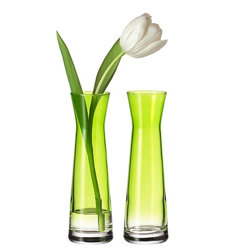 Leonardo 086493 - Set Vase Rio apfelgrün