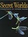 Book Secret Worlds