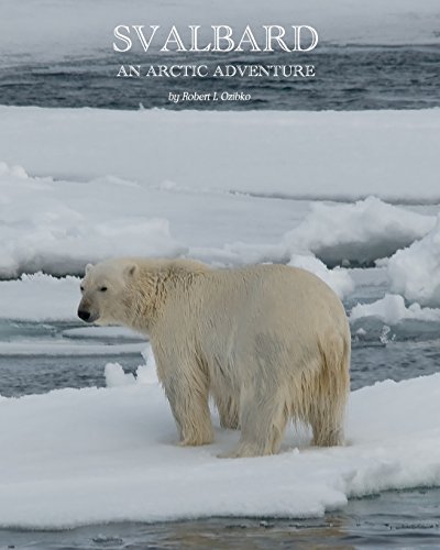 svalbard an arctic adventure
