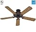 Hunter Fan Company