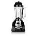 HealthMaster LWHM Living Well/Montel 1100-Watt 2-Quart Fruit-and-Vegetable Emulsifier
