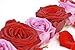 Rosen 7 - 24W x 16H - Peel and Stick Wall Decal by Wallmonkeys