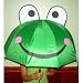 Childs Frog Umbrella
