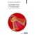 Introduction � l'�conomie