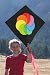 Into The Wind Color Wheel Hata Kite