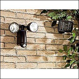 Duo-Solar-Strahler (mit 1 Watt