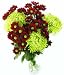 Christmas Spice Bouquet