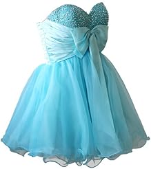 Girls Organza Above the Knee Short Homecoming Dress/Prom Dress 