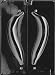 3D BANANA Flowers, Fruits & Vegitables Candy Mold Chocolate