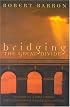 Bridging the Great Divide : Musings of a Post-Liberal, Post Conservative Evangelical Catholic
