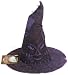 Harry Potter Sorting Hat (Book)