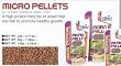 Hikari Tropical Micropellets -- 0.77 oz