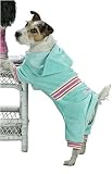 Pucci Warm-up Medium Mint