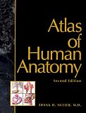 Atlas of Human Anatomy: With netteranatomy.com (Netter Basic Science)