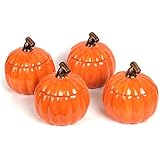 Set of 4 Pumpkin Side Dishes Holder Jars Fall Thanksgiving Family Gathering Dining Room Table Decor