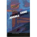 Juvenile Crime, Juvenile Justice book cover