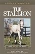 Understanding the Stallion (Understanding Series)