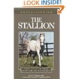 Understanding the Stallion (Understanding Series) by E. L. Squires Ph.D.