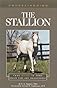 Understanding the Stallion (Understanding Series)