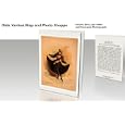 20 NOTECARDS Historic Theater Print Blond woman in black dress with roses holding up skirt