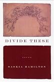 Divide These: Poems