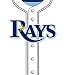 Turner MLB Tampa Bay Rays Stretch Book Covers (8190027)