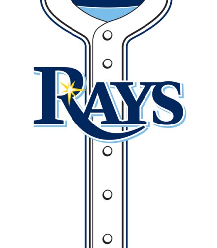 Turner MLB Tampa Bay Rays Stretch Book Covers (8190027)