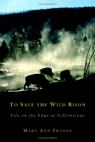 To Save The Wild Bison: Life On The Edge In Yellowstone