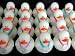 Two Dozen (24) Mini Glow-in-the-Dark Award Rubber Ducks
