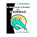 A Beginner's Guide to Gambas: Programming