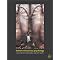 Best books about evolution and psychology