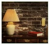 ZYGROVE CORP/Z-BRICK BRANDS ZC026205 CTN 20 BGE Brick Facing