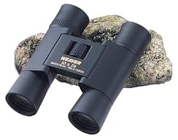 Weaver Classic 10X28 Binoculars (Matte)