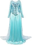 ReliBeauty Womens Elegent Princess Elsa Dress Costume