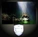 Jaguar Sun Ray Cave Decorative Night Light