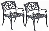 Home Styles Outdoor Dining Arm Chair in Black Finish (Set of 2)