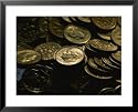 President Franklin Roosevelts Profile Graces the Dime National Geographic Collection Framed Art Poster Print by Joel Sartore, 31x25