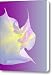 Moon Flower Canvas Print / Canvas Art - Artist LYNN ANDREWS