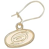 Anderson Jewelry Carolina Hurricanes 10K Gold Earrings