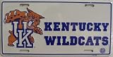 LP - 889 Kentucky Wildcats License Plate - 414