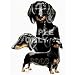 Dachshund (Black) Desk Set