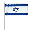 Israel Flag 12 x 18 inch