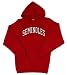 Florida State Seminoles Classic Hooded Pullover Sweatshirt with Arch