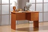 Napa Oak Finish Home Office Writing Desk with Drawers