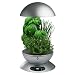 AeroGarden 3 with Gourmet Herbs - Silvertone