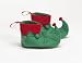 Elf Shoes Adult (One-Size (up to size 12))