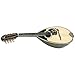 Bowlback Mandolin, Walnut Back, Spruce Top, with bag