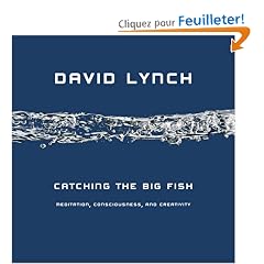 Catching the Big Fish: Meditation, Consciousness, and Creativity