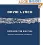 Catching the Big Fish: Meditation, Consciousness, and Creativity